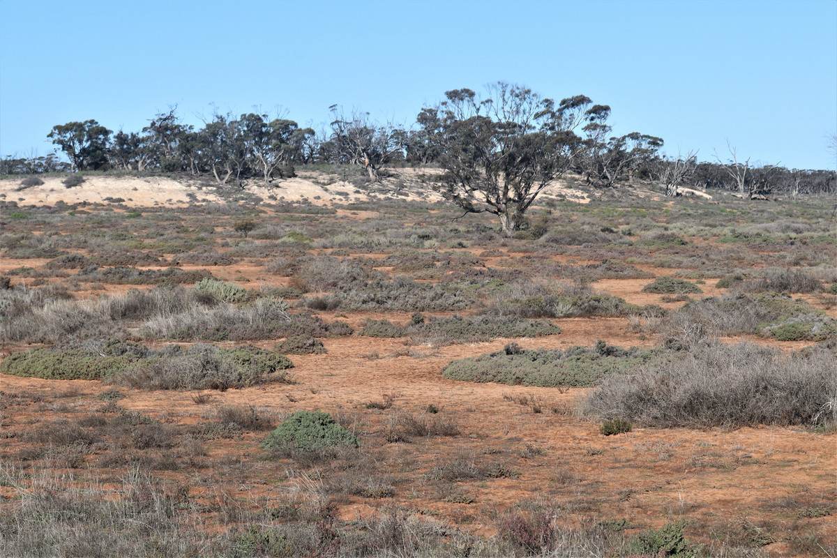 724 Chaplin Road, Tutye For Sale by Farmbuy.com - image 15
