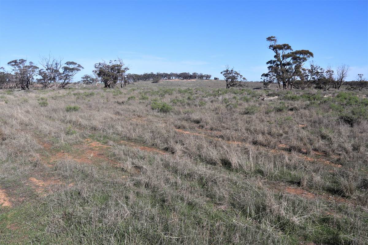724 Chaplin Road, Tutye For Sale by Farmbuy.com - image 7