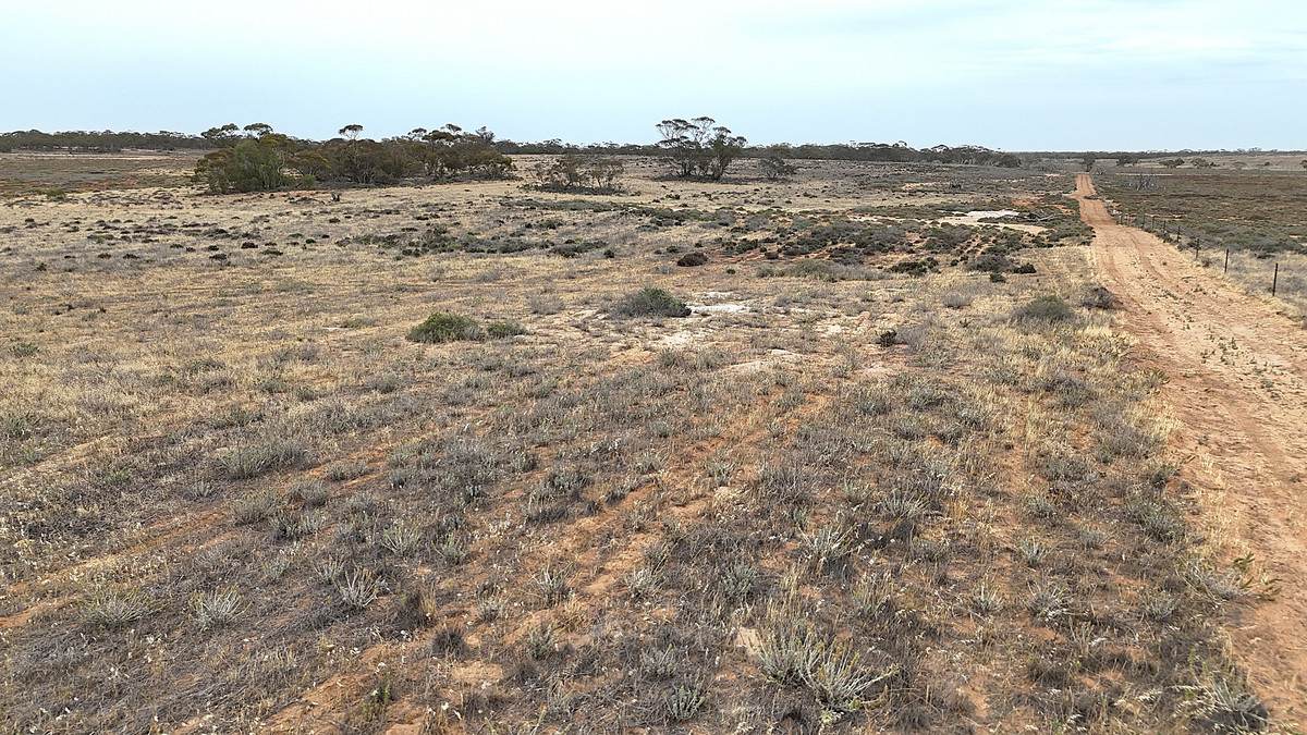 724 Chaplin Road, Tutye For Sale by Farmbuy.com - image 29