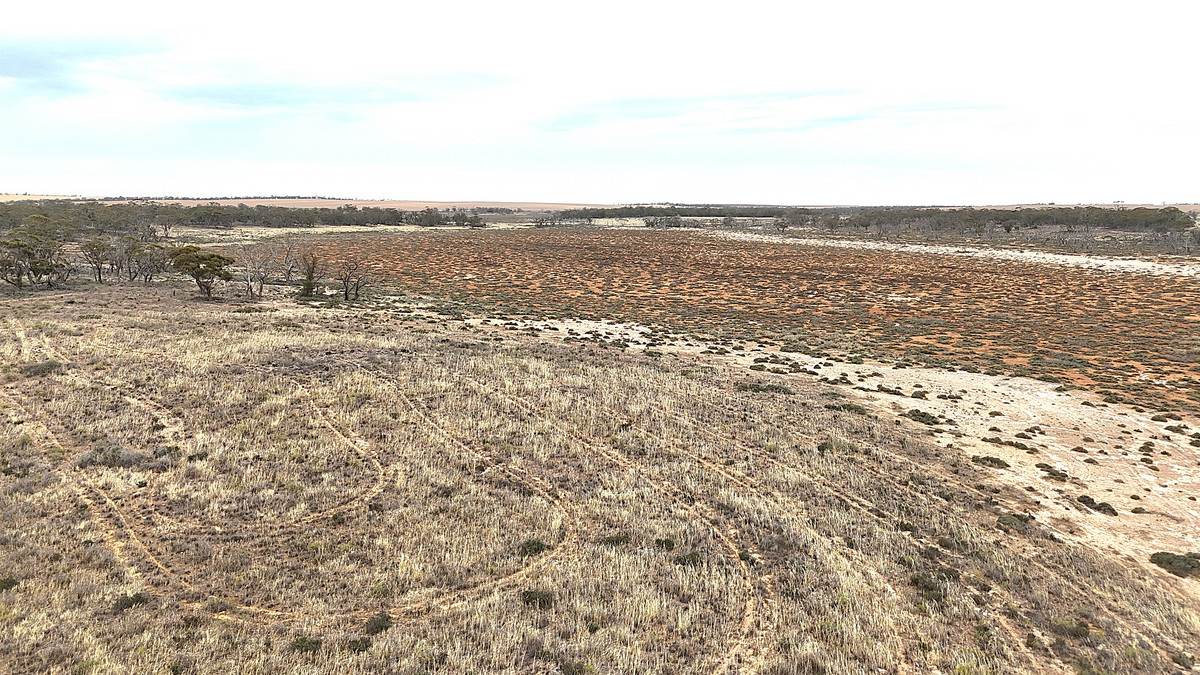 724 Chaplin Road, Tutye For Sale by Farmbuy.com - image 26