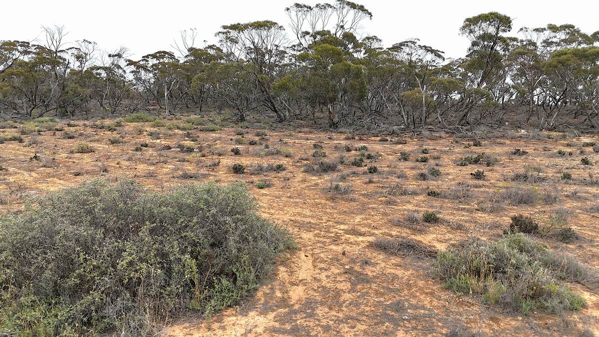 724 Chaplin Road, Tutye For Sale by Farmbuy.com - image 24