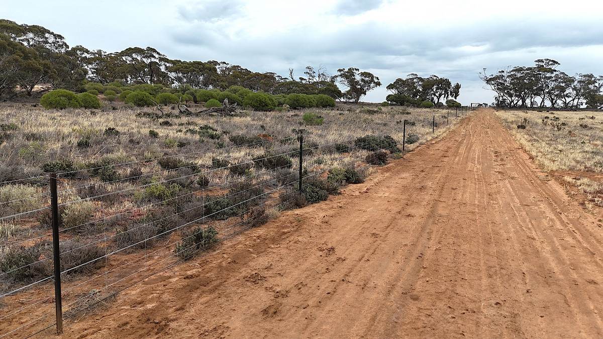 724 Chaplin Road, Tutye For Sale by Farmbuy.com - image 28