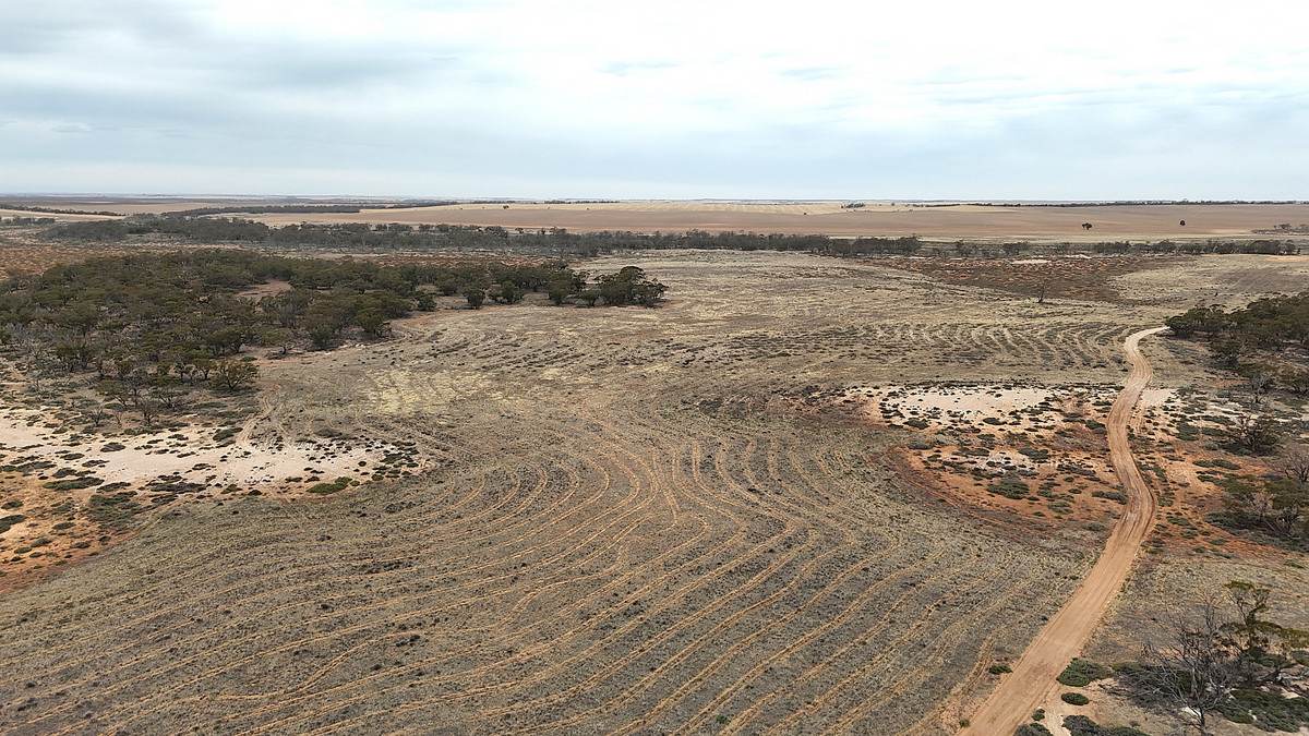 724 Chaplin Road, Tutye For Sale by Farmbuy.com - image 21