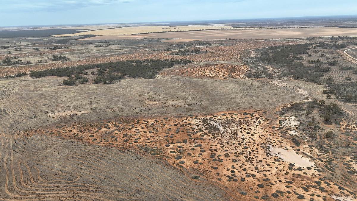 724 Chaplin Road, Tutye For Sale by Farmbuy.com - image 19