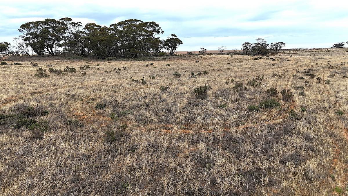 724 Chaplin Road, Tutye For Sale by Farmbuy.com - image 22
