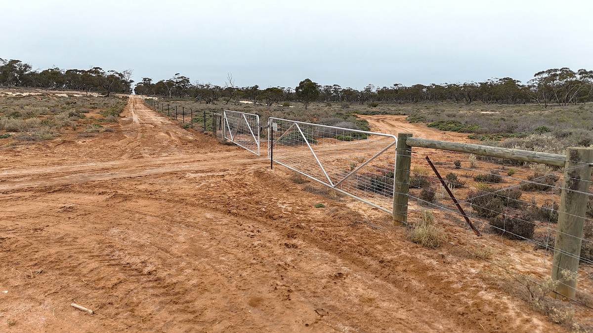 724 Chaplin Road, Tutye For Sale by Farmbuy.com - image 2