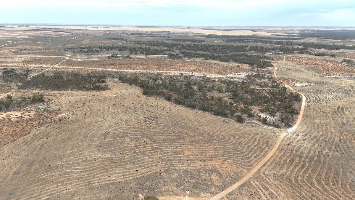 724 Chaplin Road, Tutye For Sale by Farmbuy.com - image 18