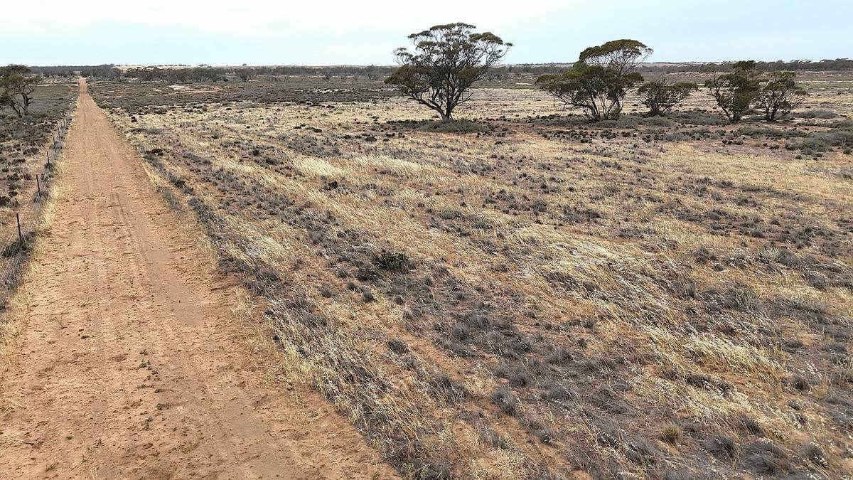 724 Chaplin Road, Tutye For Sale by Farmbuy.com - image 30