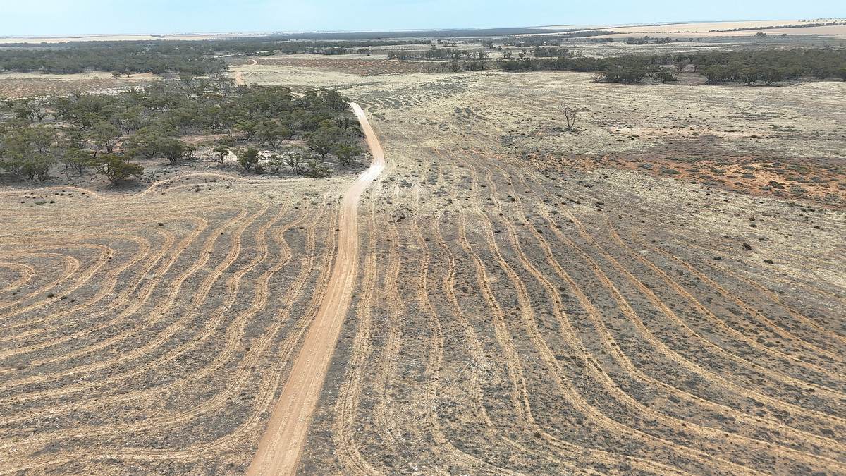724 Chaplin Road, Tutye For Sale by Farmbuy.com - image 16