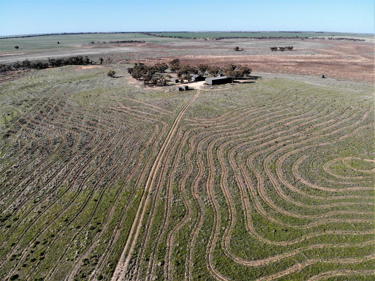 724 Chaplin Road, Tutye For Sale by Farmbuy.com - image 1