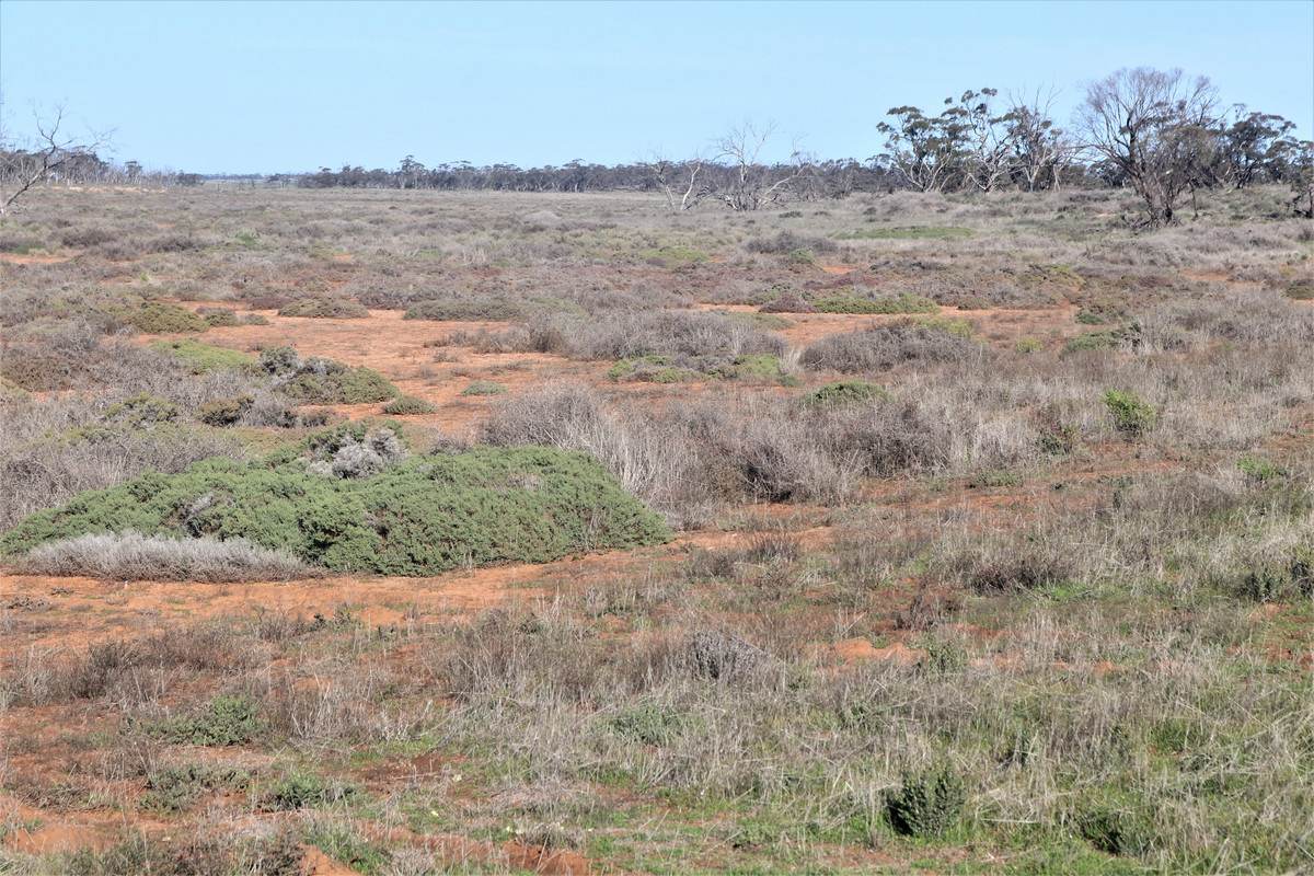 724 Chaplin Road, Tutye For Sale by Farmbuy.com - image 6