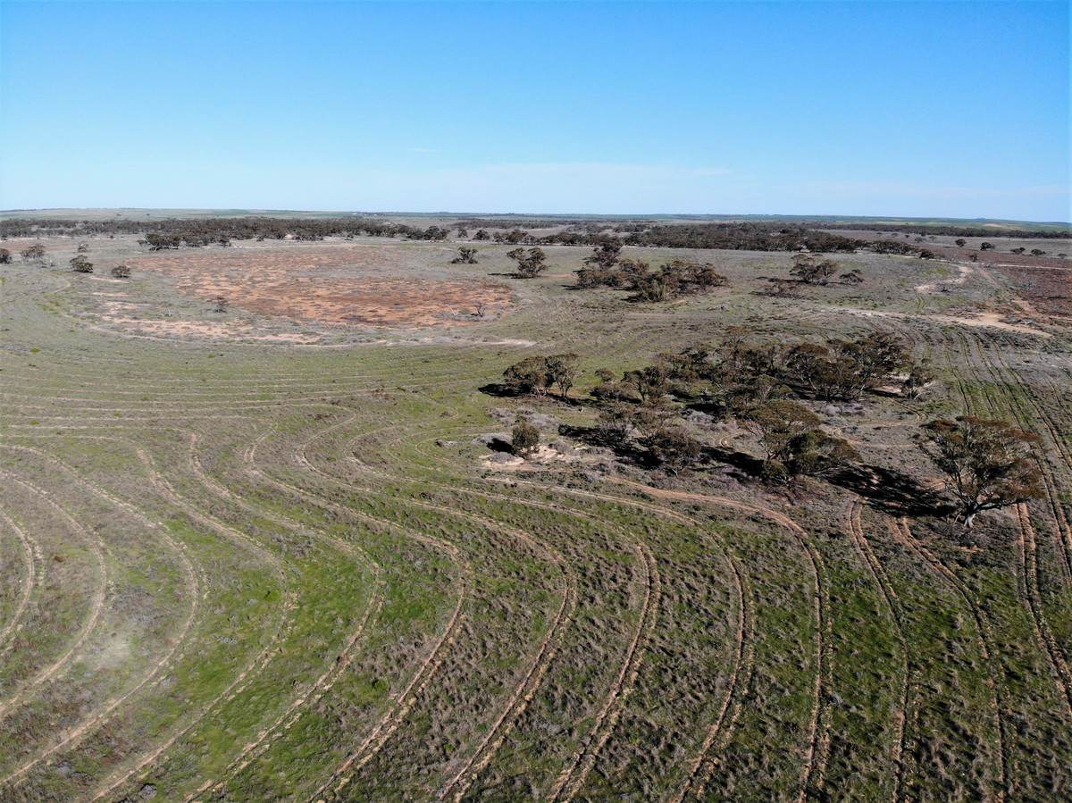 724 Chaplin Road, Tutye For Sale by Farmbuy.com - image 5