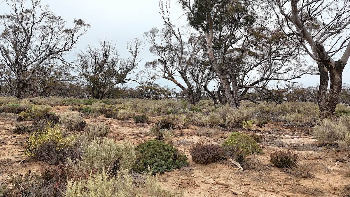 724 Chaplin Road, Tutye For Sale by Farmbuy.com - image 25