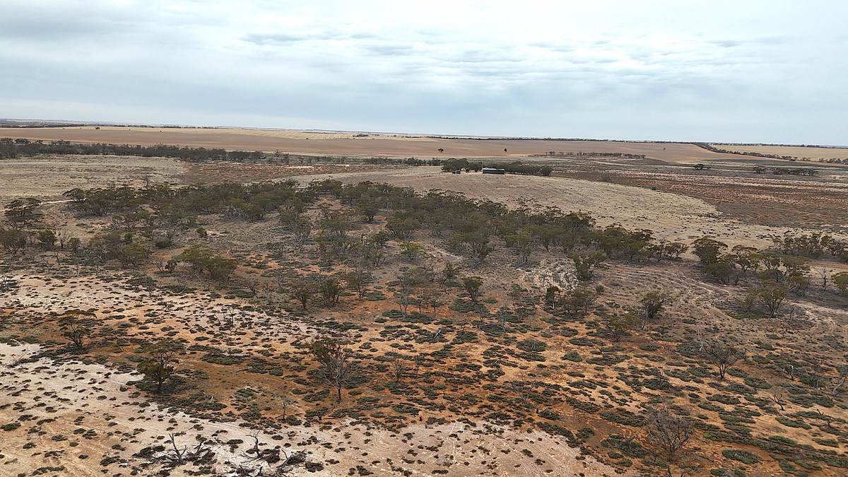 724 Chaplin Road, Tutye For Sale by Farmbuy.com - image 20