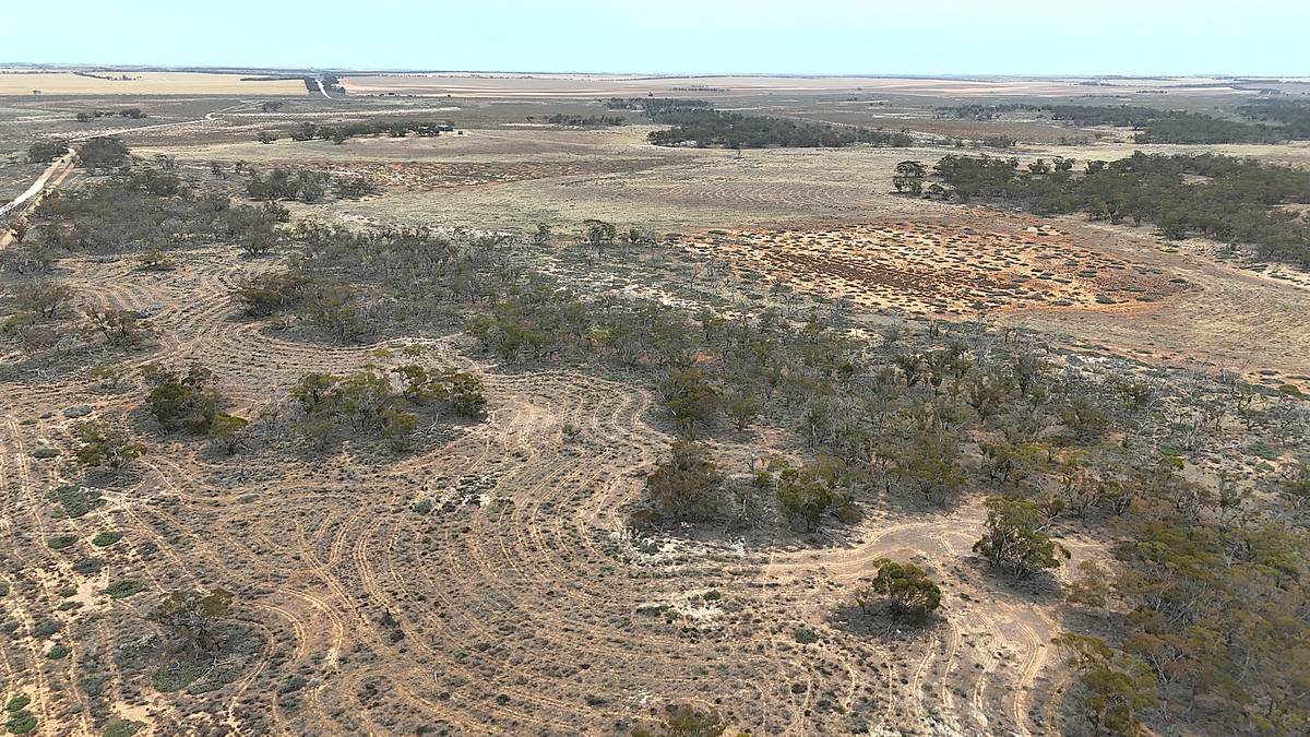 724 Chaplin Road, Tutye For Sale by Farmbuy.com - image 23