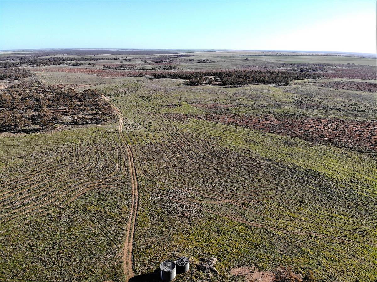 724 Chaplin Road, Tutye For Sale by Farmbuy.com - image 8