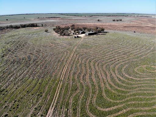 Farm For Sale - VIC - Tutye - 3490 - 724 Chaplin Road, Tutye VIC 3490 