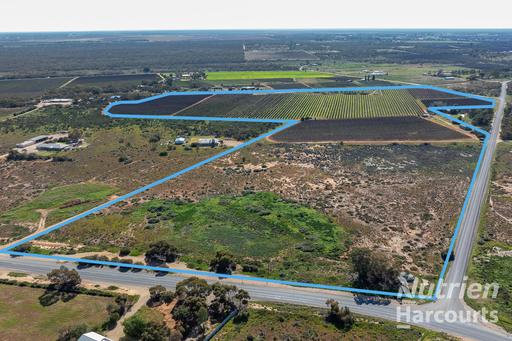 Farm For Sale - SA - Glossop - 5344 - Productive Vineyard with Lifestyle Potential 