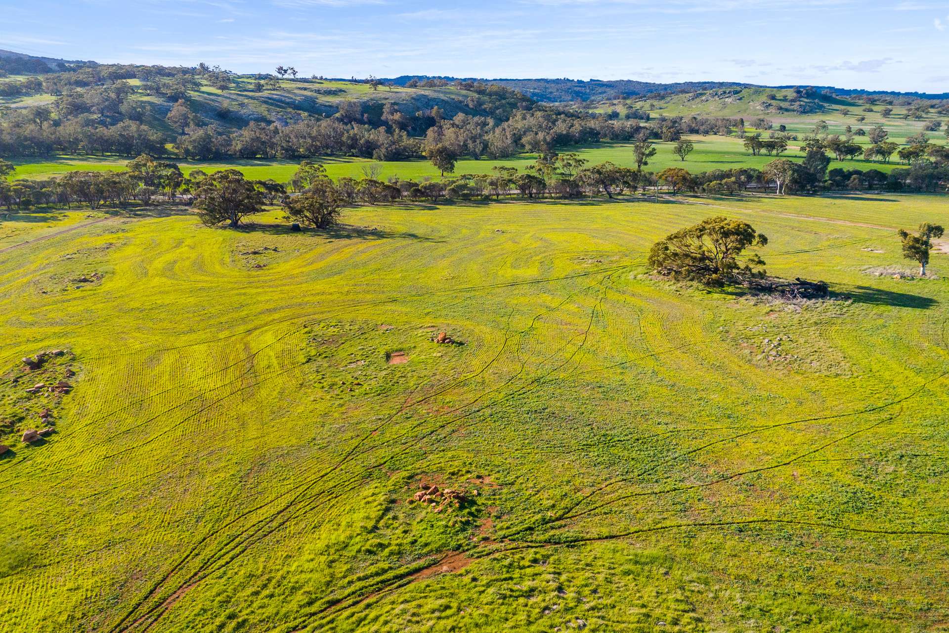 Lot 114,  Gooch Road, Mokine For Sale by Farmbuy.com - image 12