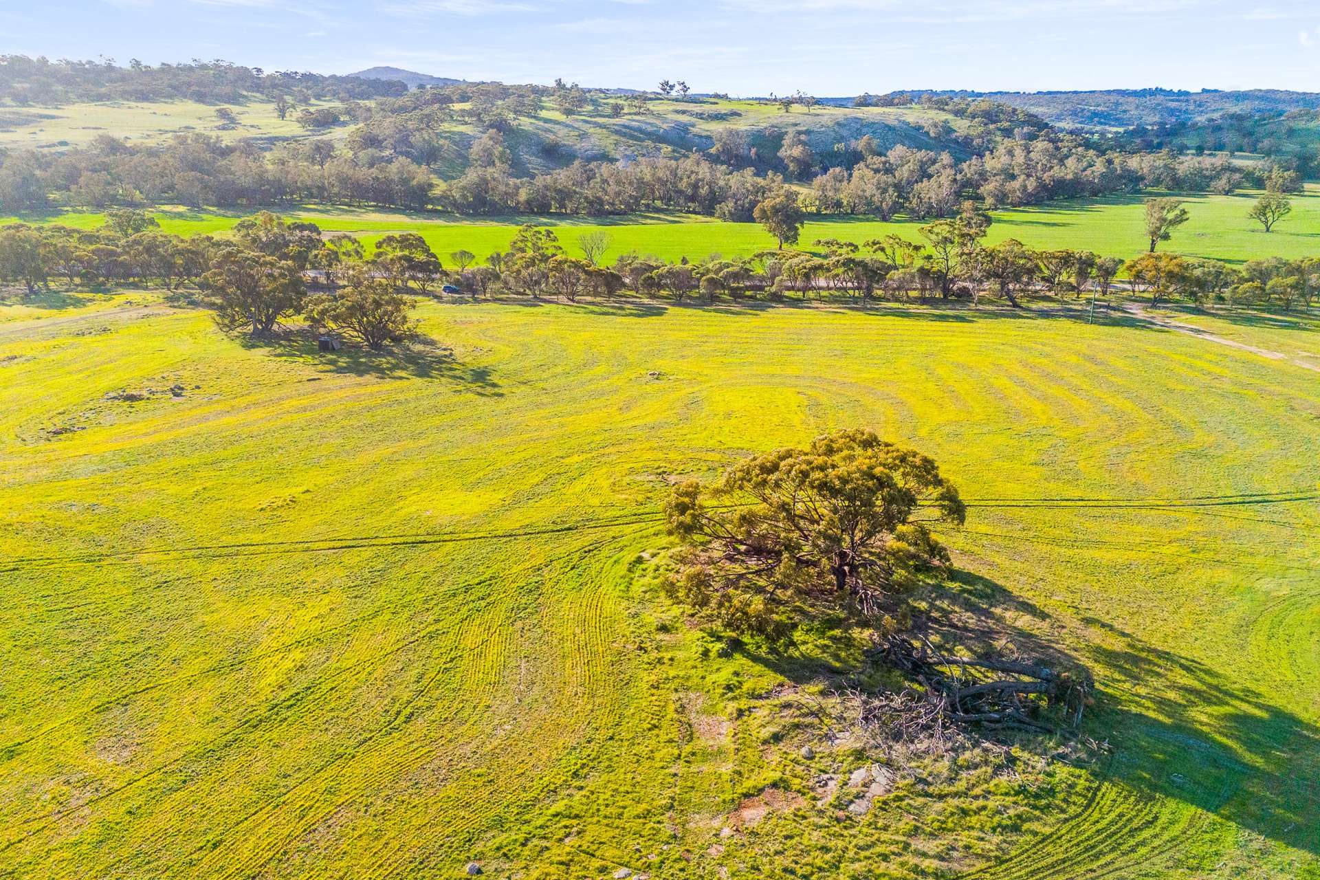 Lot 114,  Gooch Road, Mokine For Sale by Farmbuy.com - image 10