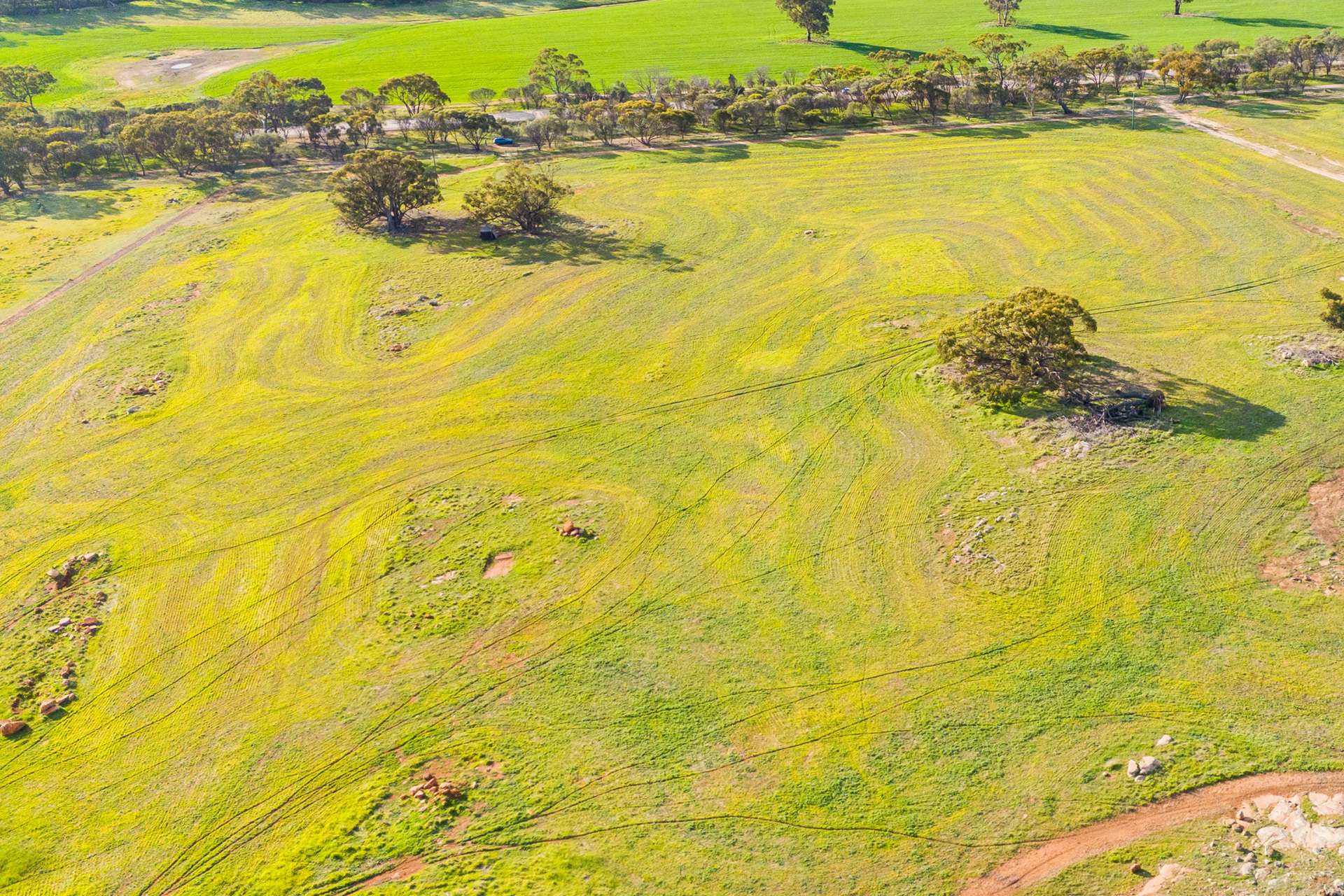 Lot 114,  Gooch Road, Mokine For Sale by Farmbuy.com - image 9