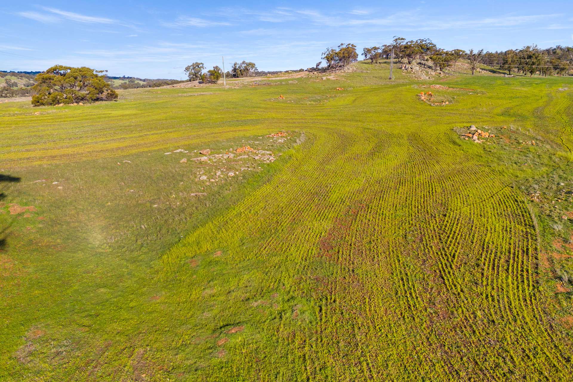 Lot 114,  Gooch Road, Mokine For Sale by Farmbuy.com - image 5