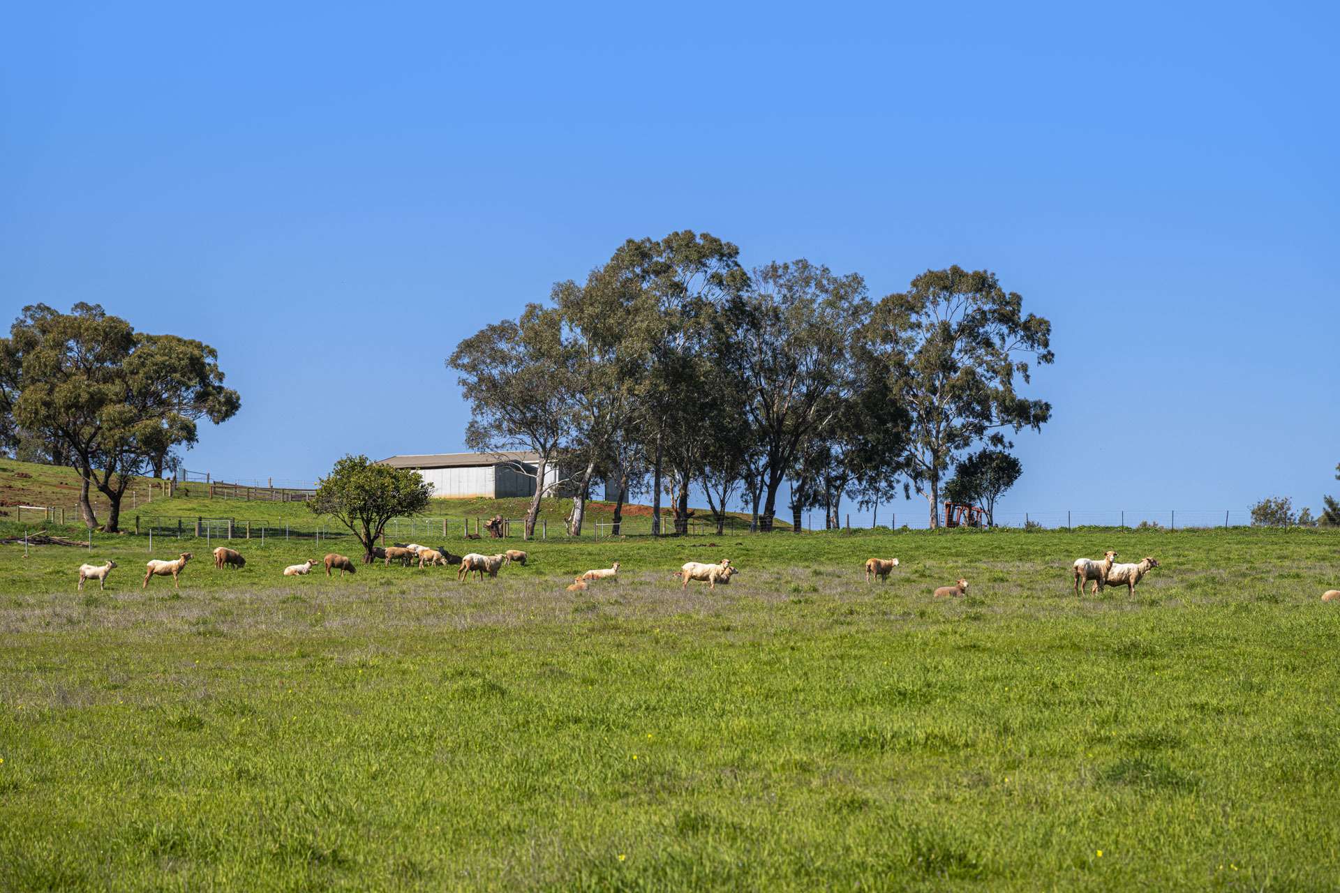124 Toy Road, Bindoon For Sale by Farmbuy.com - image 25