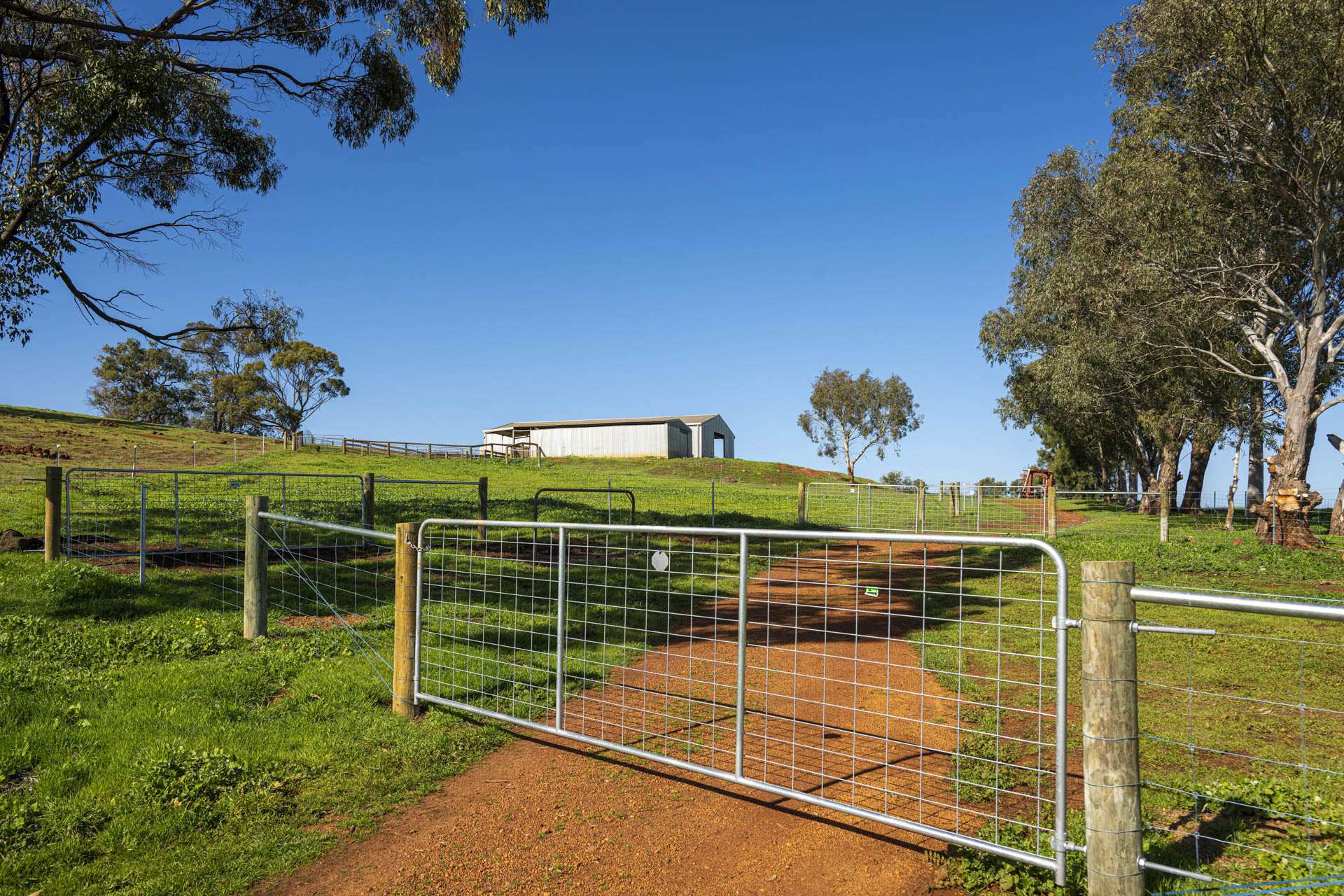 124 Toy Road, Bindoon For Sale by Farmbuy.com - image 19