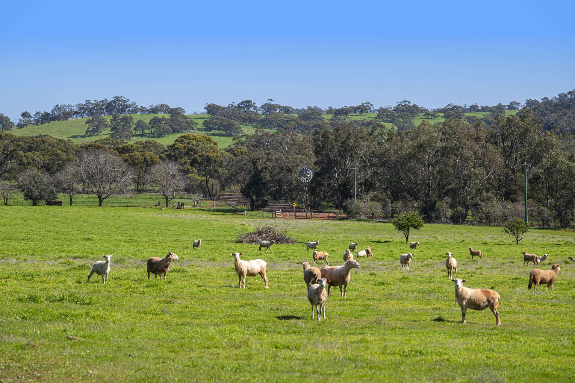 124 Toy Road, Bindoon For Sale by Farmbuy.com - image 15