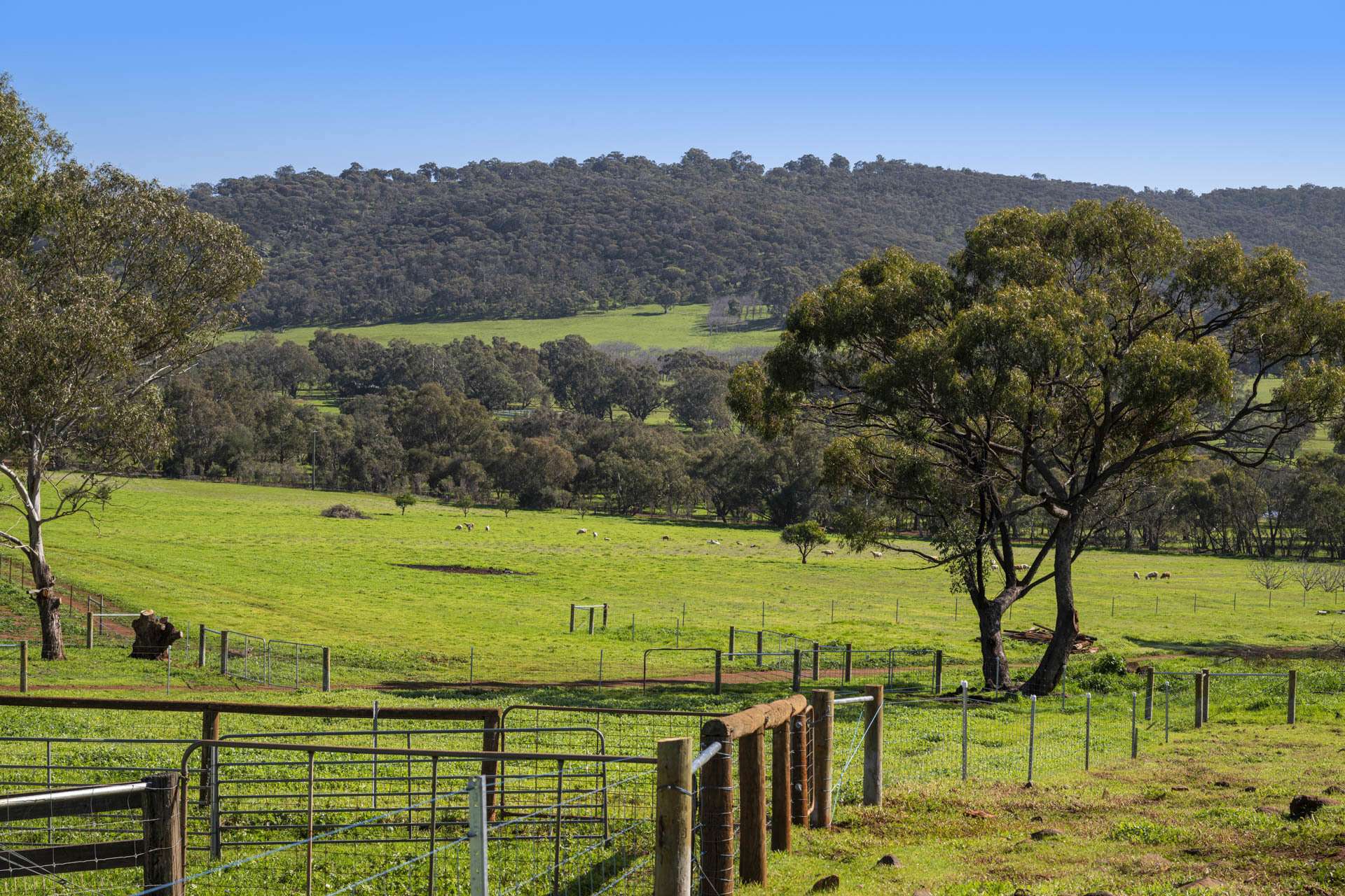 124 Toy Road, Bindoon For Sale by Farmbuy.com - image 24