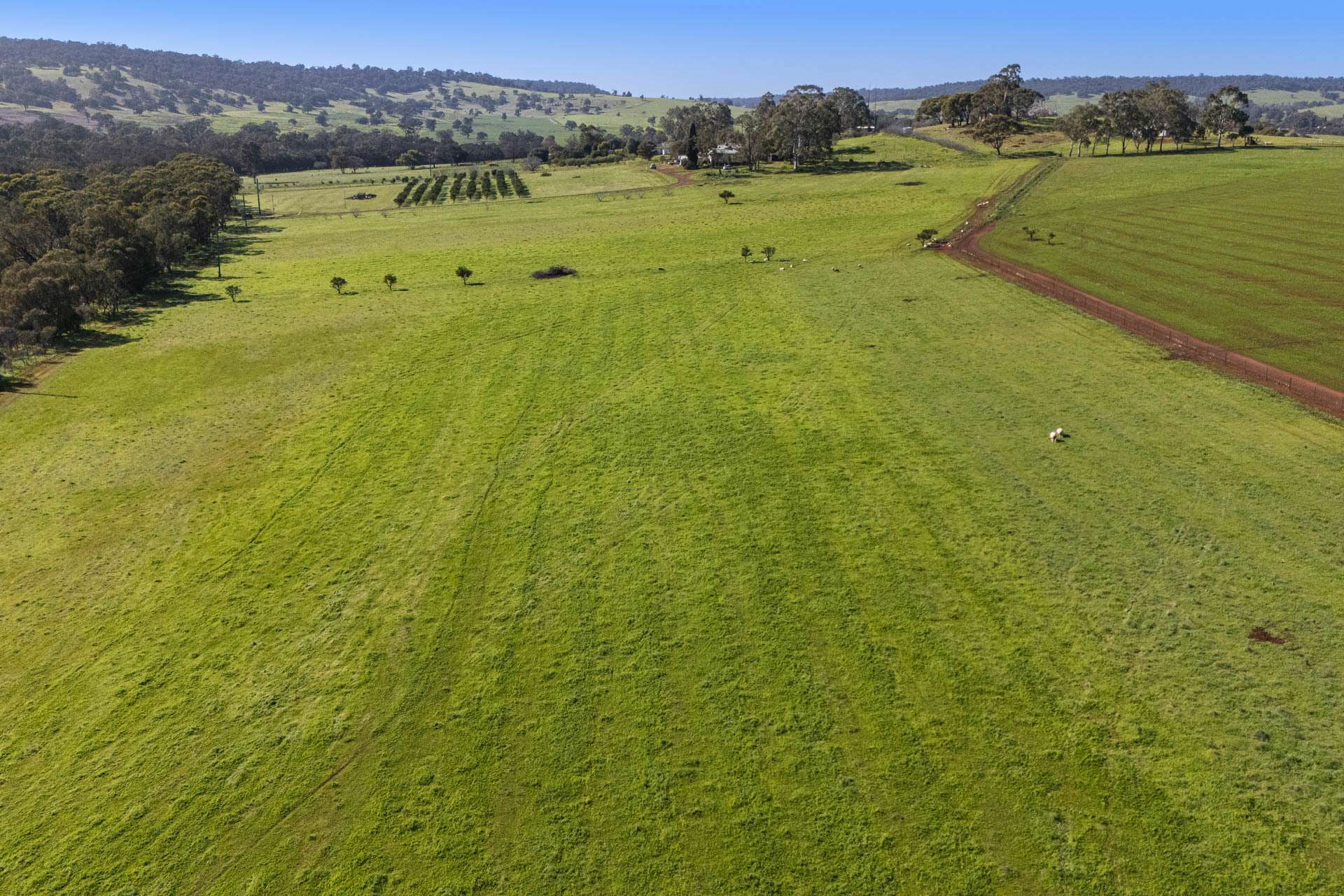 124 Toy Road, Bindoon For Sale by Farmbuy.com - image 13