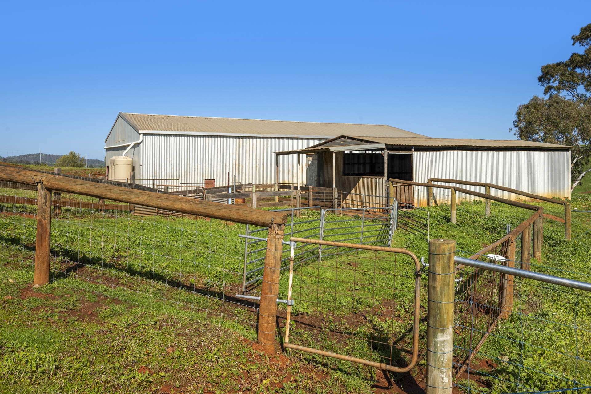 124 Toy Road, Bindoon For Sale by Farmbuy.com - image 7