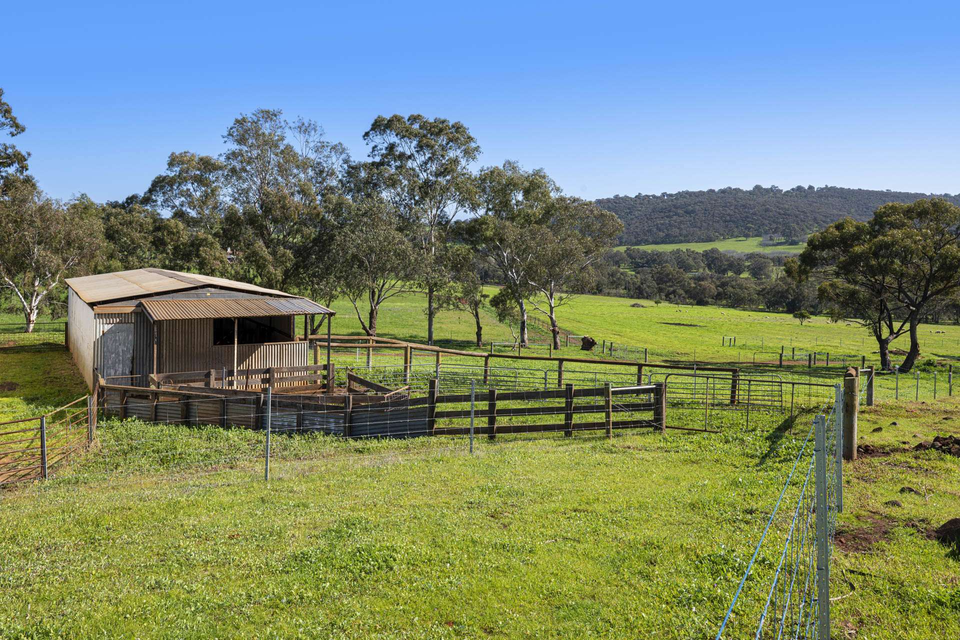 124 Toy Road, Bindoon For Sale by Farmbuy.com - image 26