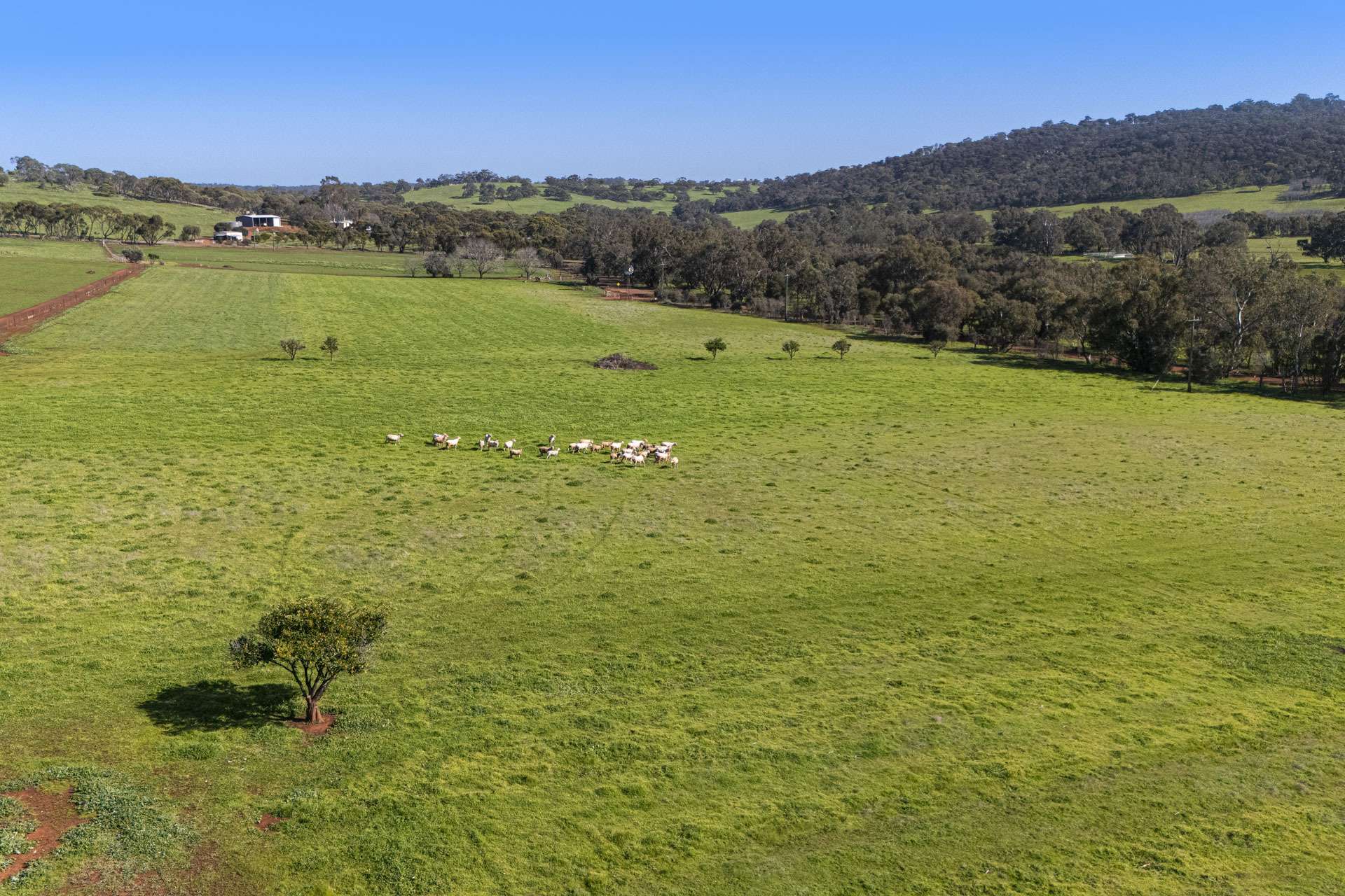 124 Toy Road, Bindoon For Sale by Farmbuy.com - image 14
