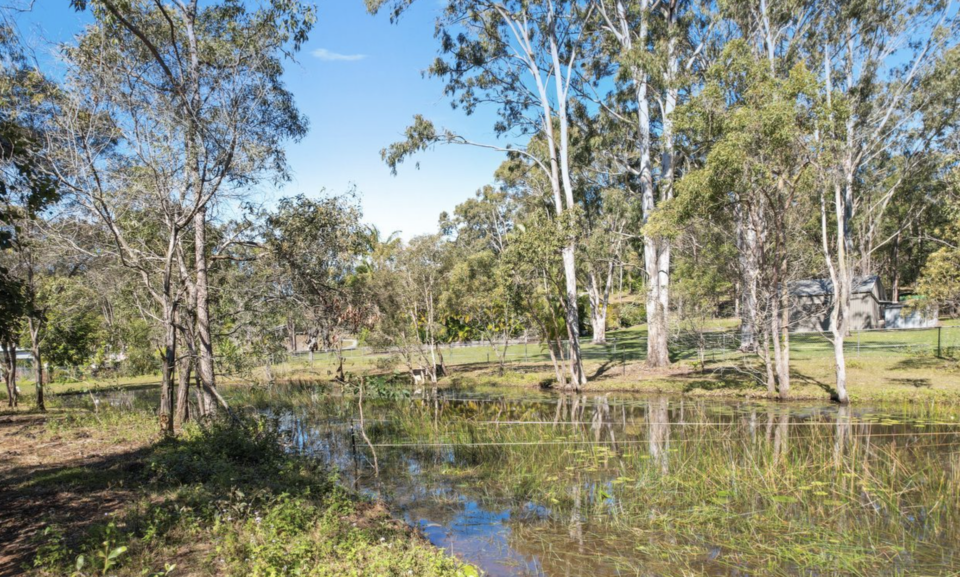 560 Old Gympie Road, Elimbah For Sale by Farmbuy.com - image 2