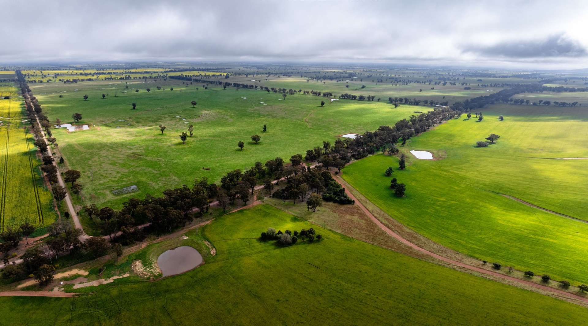 "West Ardnaree" Cnr Newell & Kurrawbya Roads, Tubbul Auction by Farmbuy.com - image 14