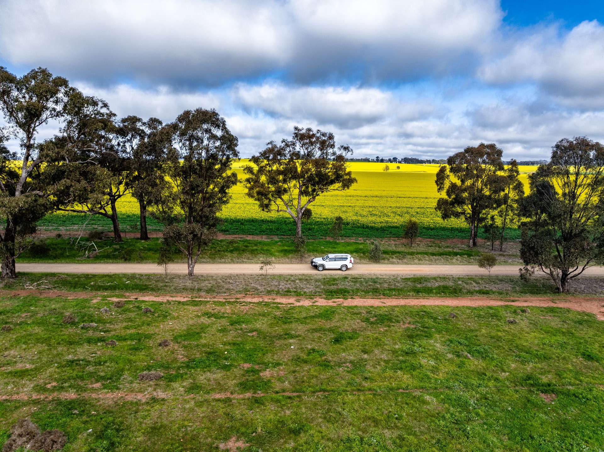"West Ardnaree" Cnr Newell & Kurrawbya Roads, Tubbul Auction by Farmbuy.com - image 21