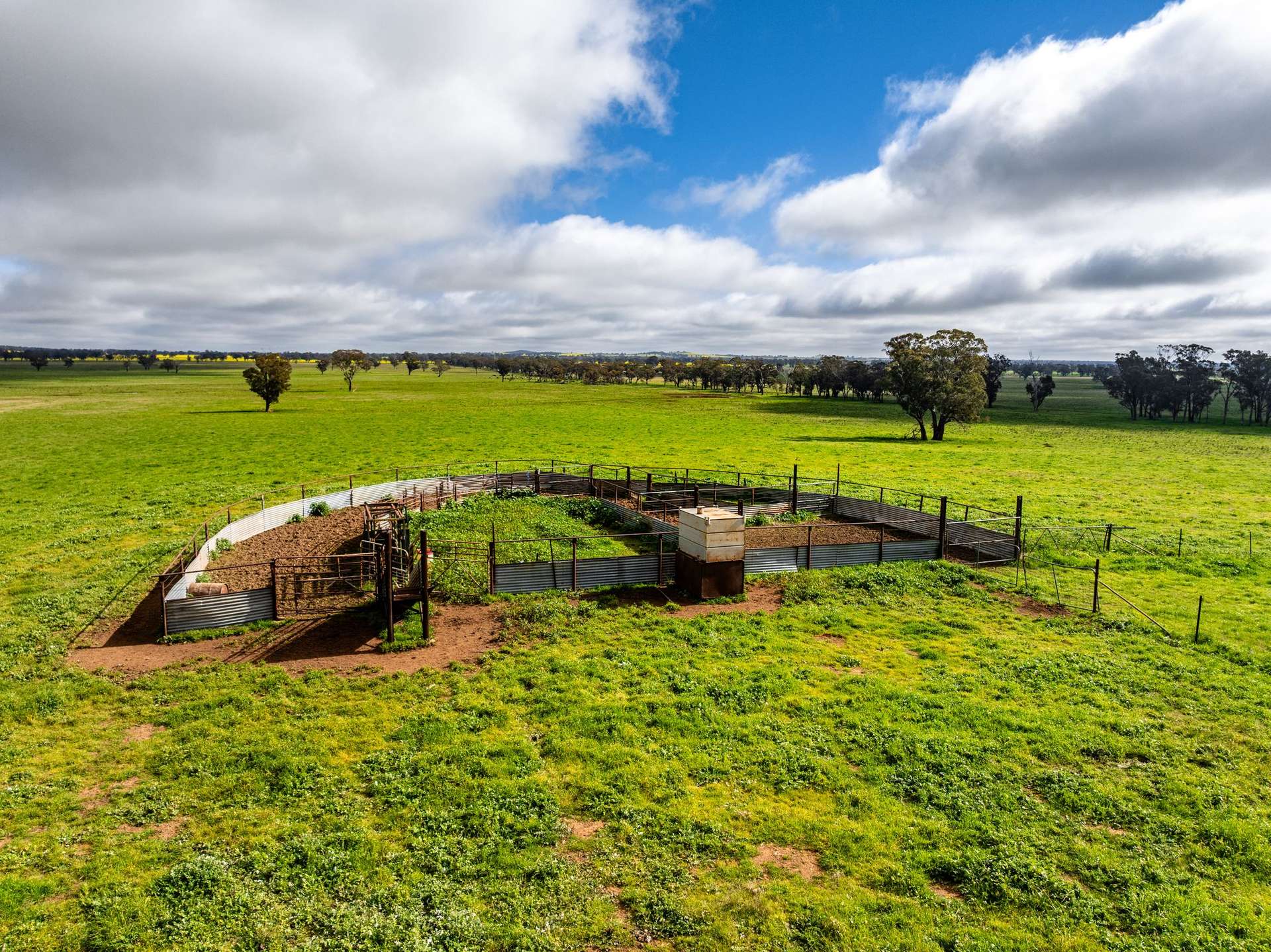 "West Ardnaree" Cnr Newell & Kurrawbya Roads, Tubbul Auction by Farmbuy.com - image 24