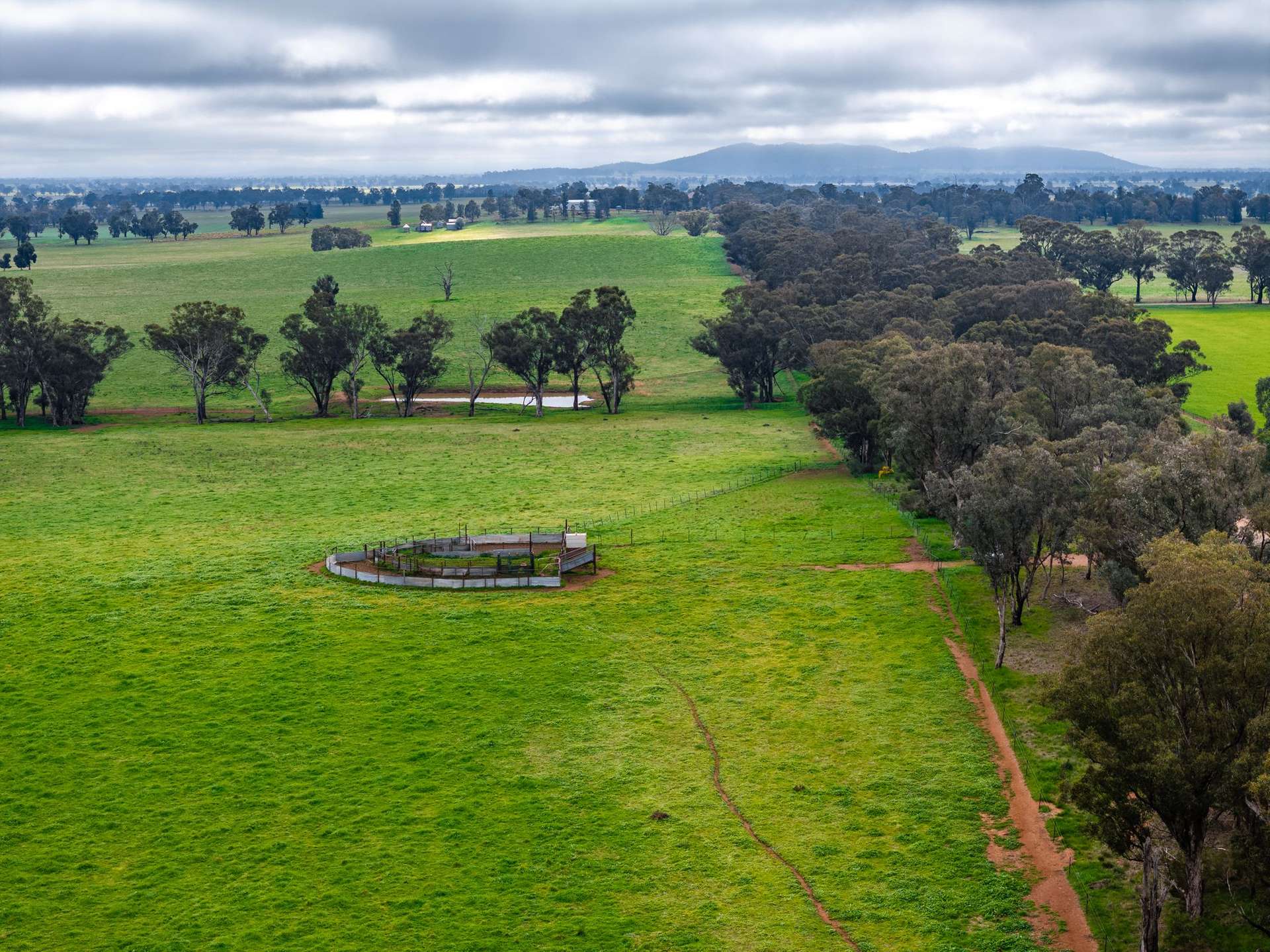 "West Ardnaree" Cnr Newell & Kurrawbya Roads, Tubbul Auction by Farmbuy.com - image 6