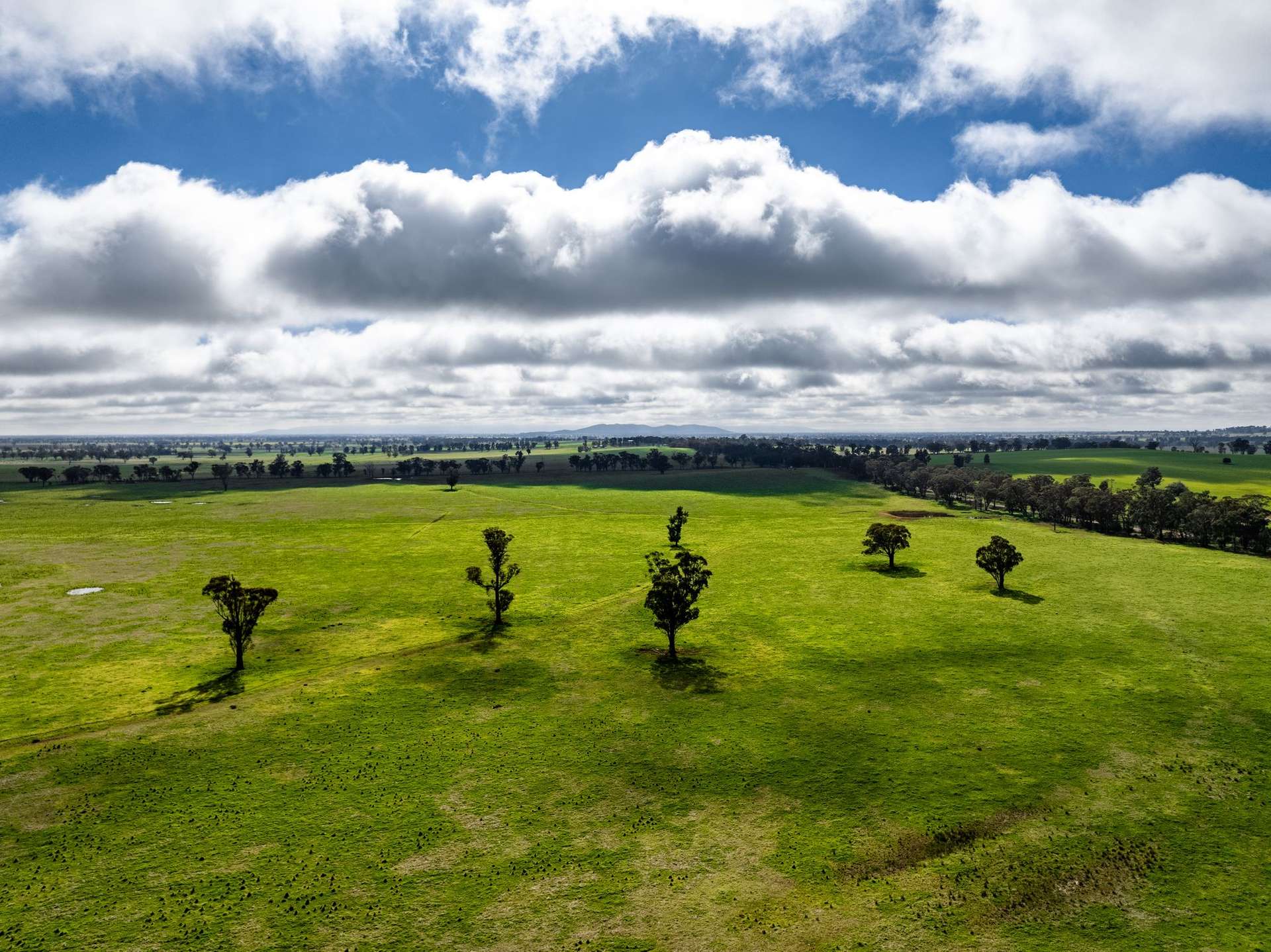 "West Ardnaree" Cnr Newell & Kurrawbya Roads, Tubbul Auction by Farmbuy.com - image 5