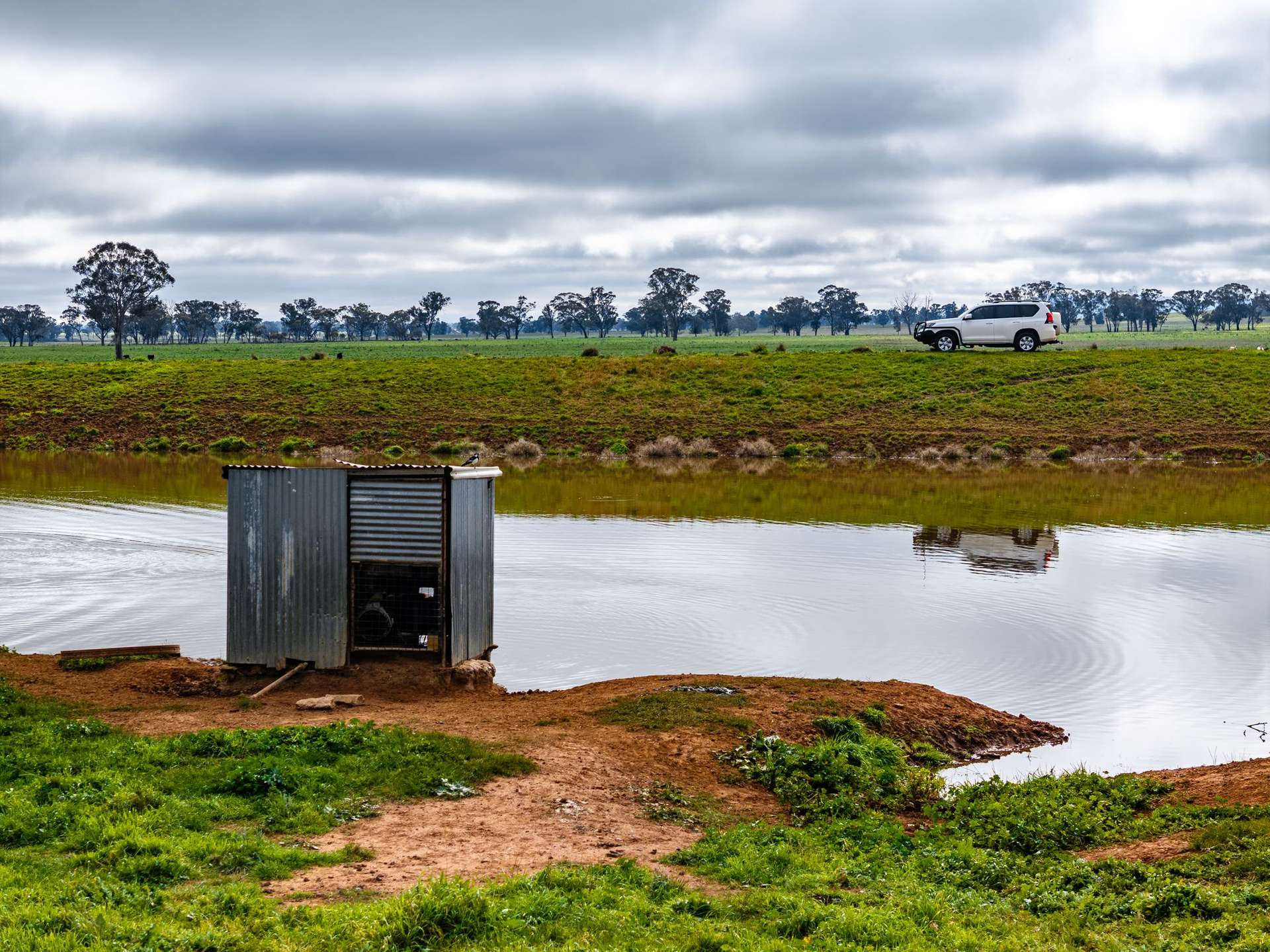 "West Ardnaree" Cnr Newell & Kurrawbya Roads, Tubbul Auction by Farmbuy.com - image 12