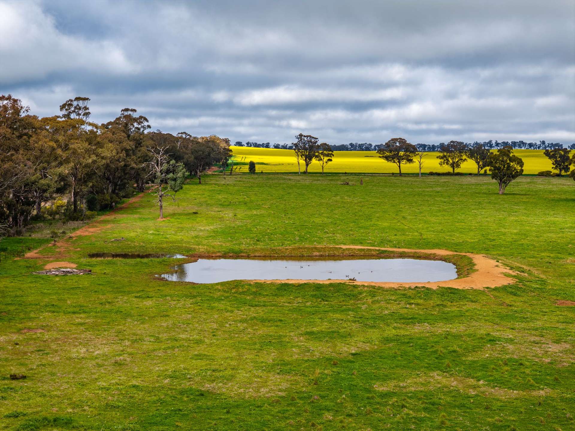"West Ardnaree" Cnr Newell & Kurrawbya Roads, Tubbul Auction by Farmbuy.com - image 10