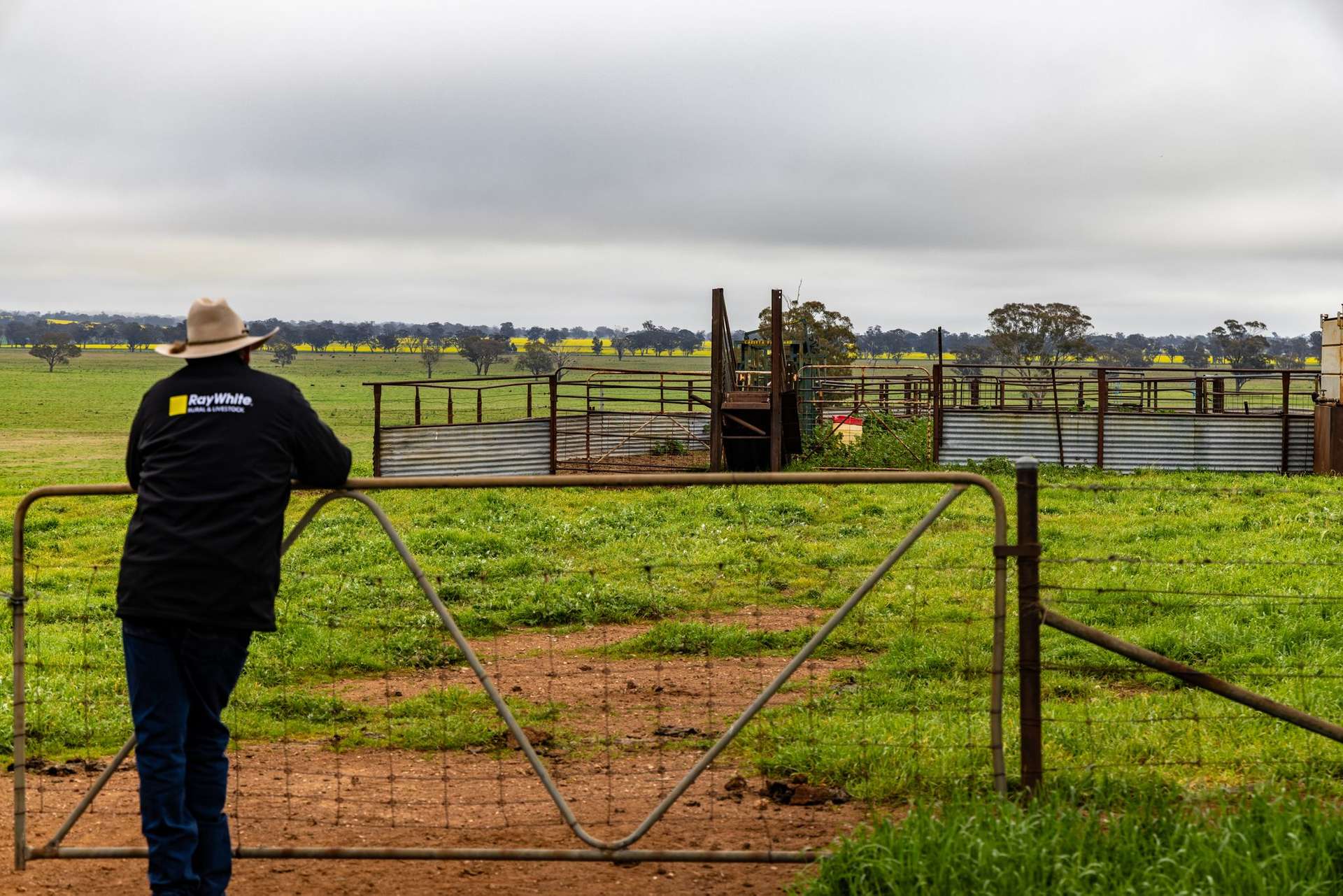 "West Ardnaree" Cnr Newell & Kurrawbya Roads, Tubbul Auction by Farmbuy.com - image 25