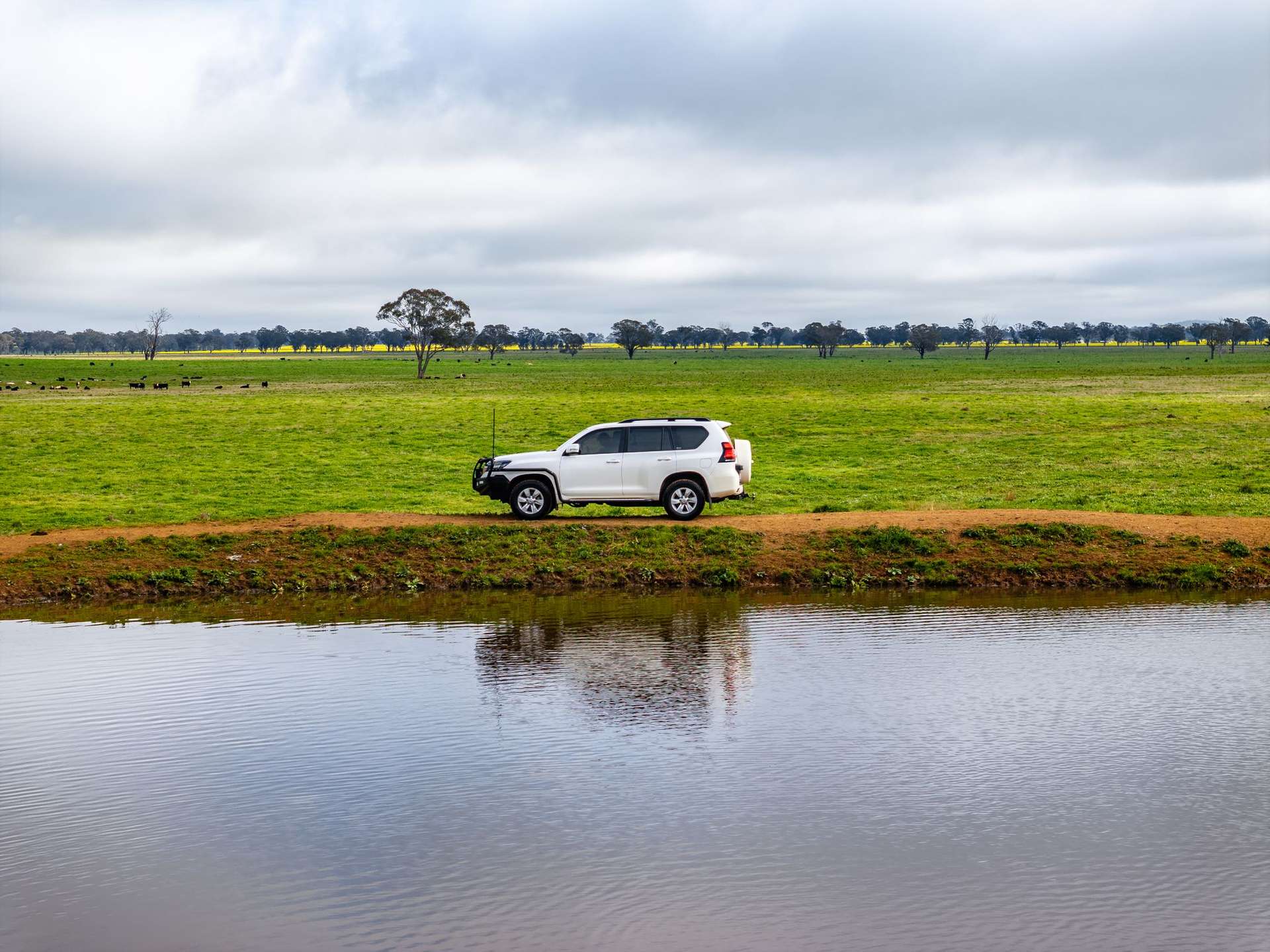 "West Ardnaree" Cnr Newell & Kurrawbya Roads, Tubbul Auction by Farmbuy.com - image 8
