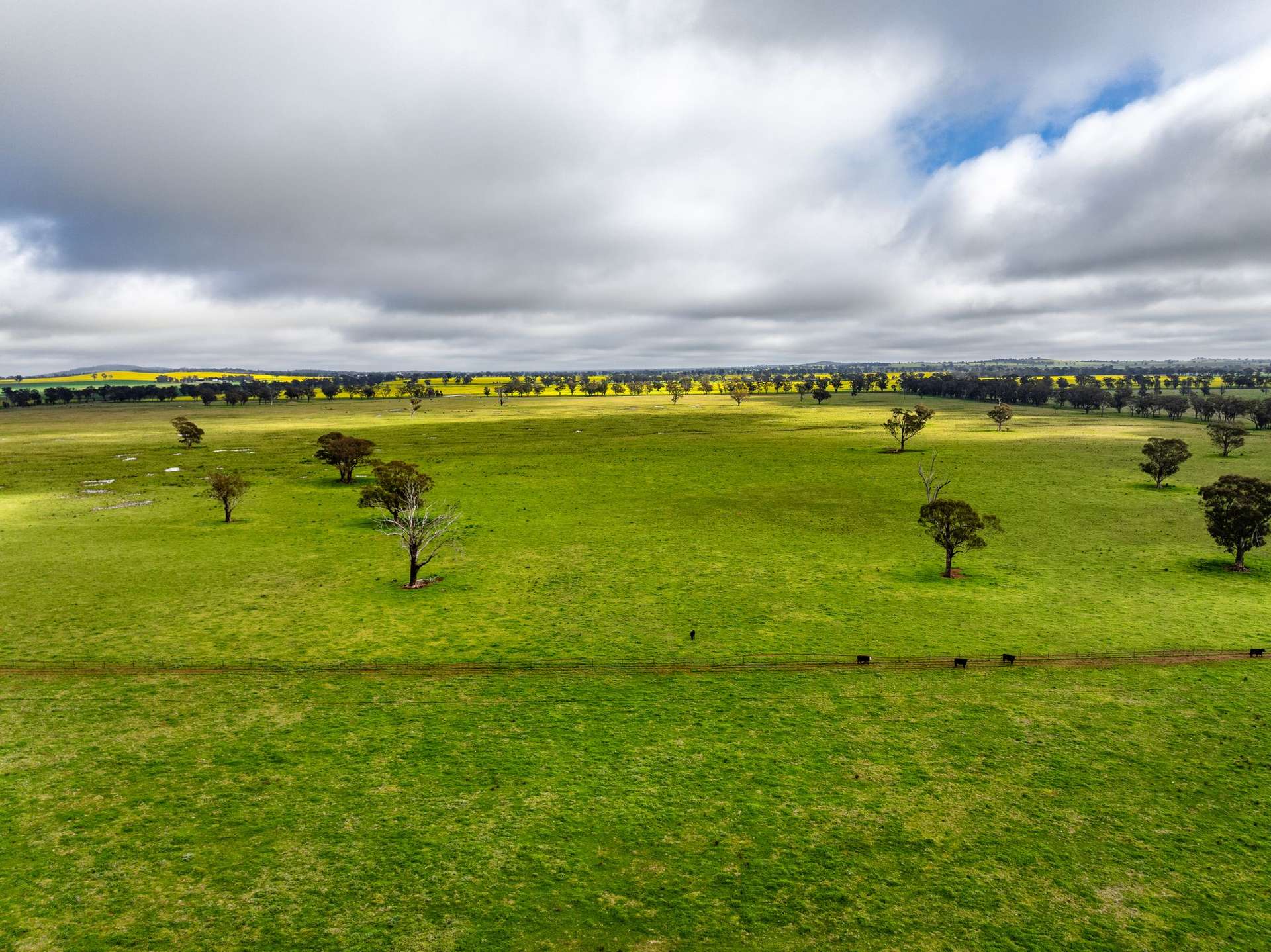 "West Ardnaree" Cnr Newell & Kurrawbya Roads, Tubbul Auction by Farmbuy.com - image 1
