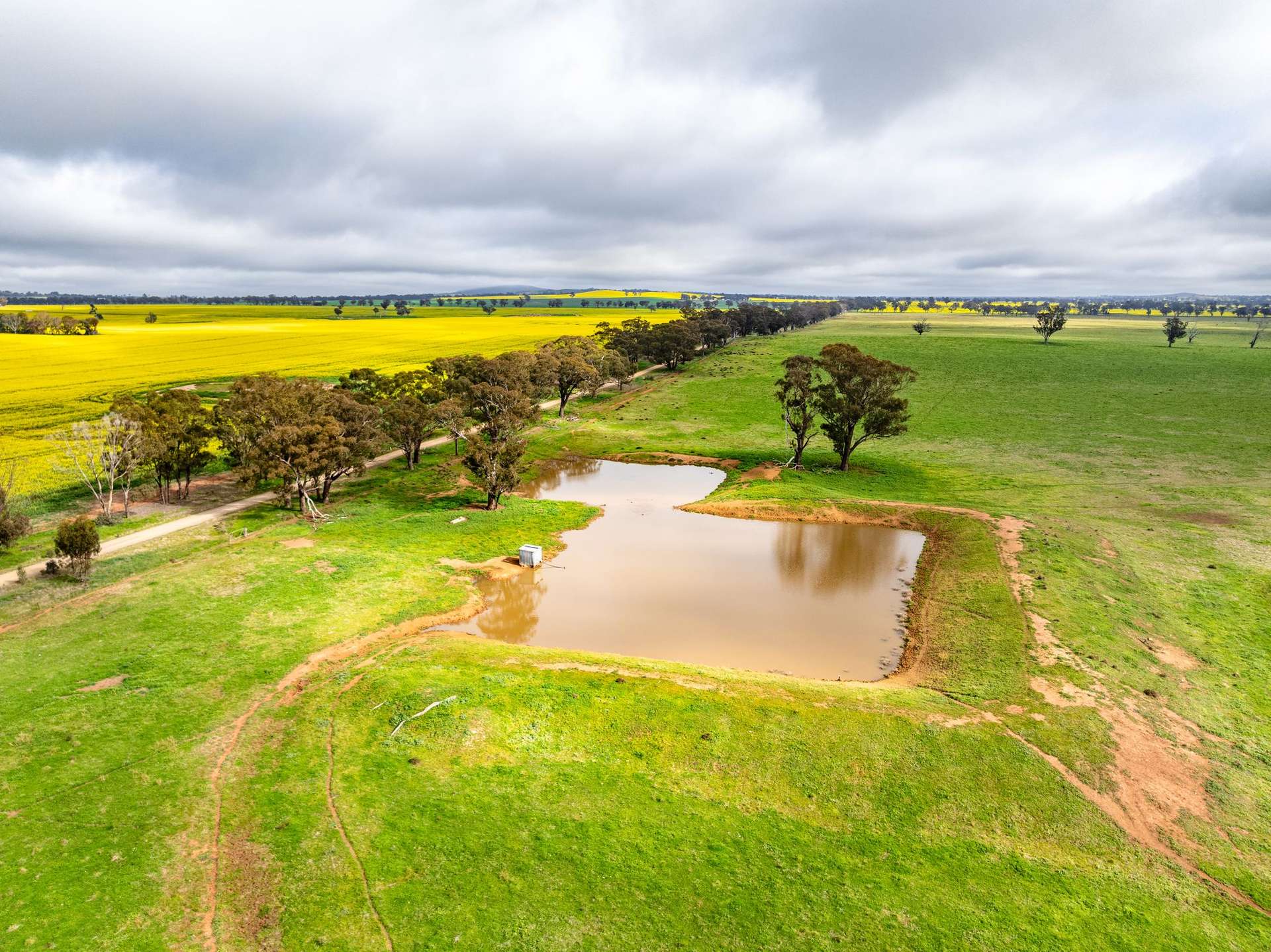 "West Ardnaree" Cnr Newell & Kurrawbya Roads, Tubbul Auction by Farmbuy.com - image 4