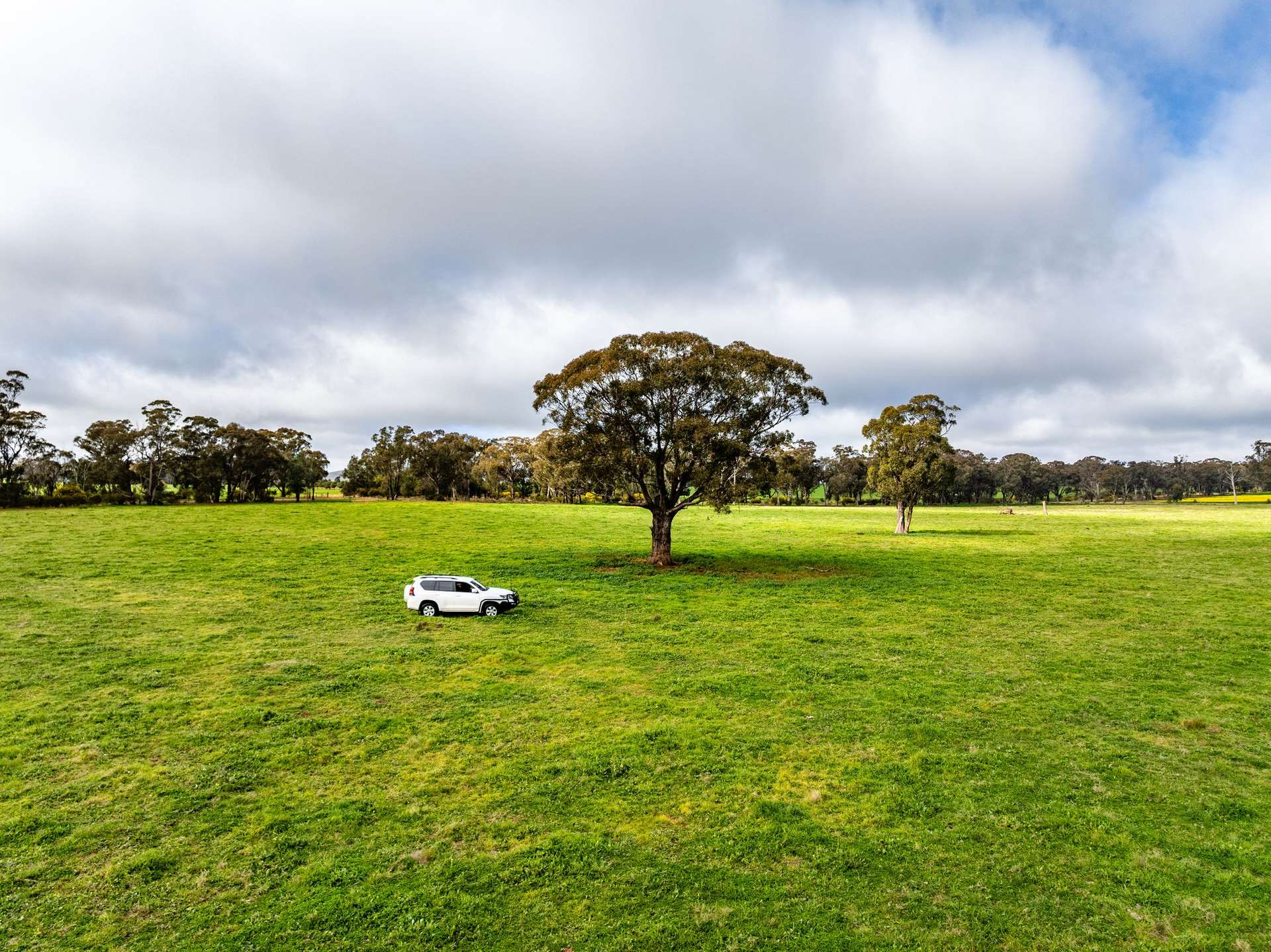 "West Ardnaree" Cnr Newell & Kurrawbya Roads, Tubbul Auction by Farmbuy.com - image 11