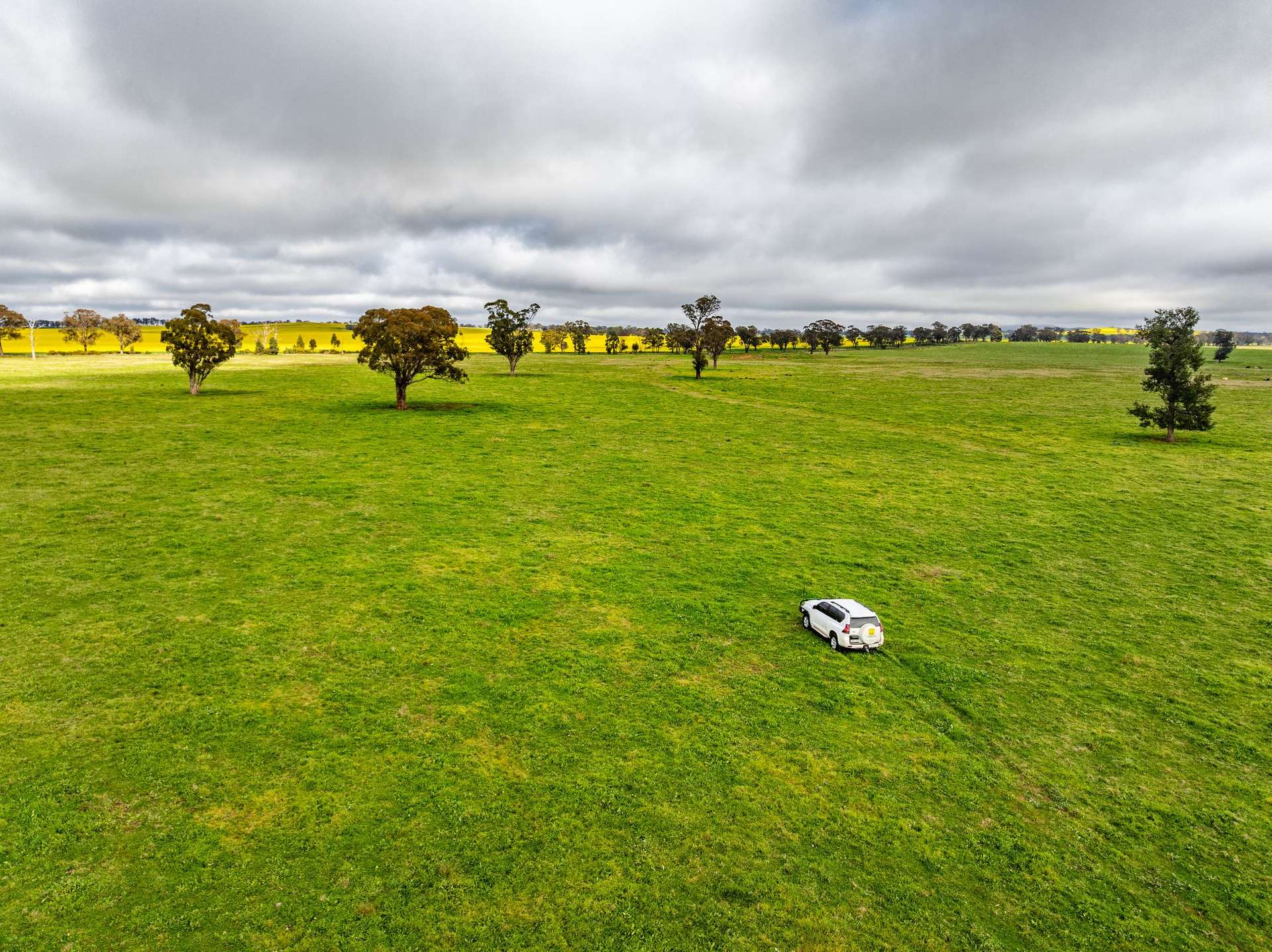 "West Ardnaree" Cnr Newell & Kurrawbya Roads, Tubbul Auction by Farmbuy.com - image 9