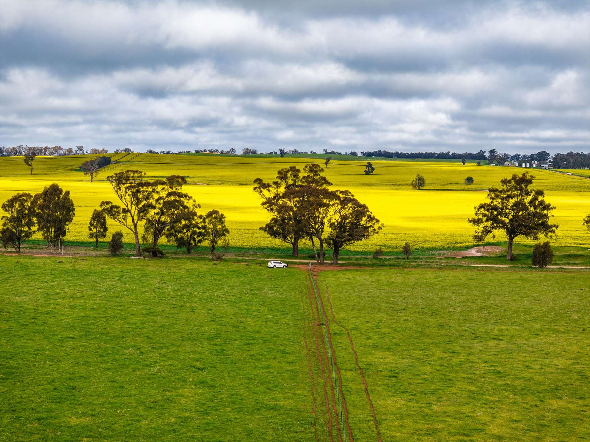 "West Ardnaree" Cnr Newell & Kurrawbya Roads, Tubbul Auction by Farmbuy.com - image 23