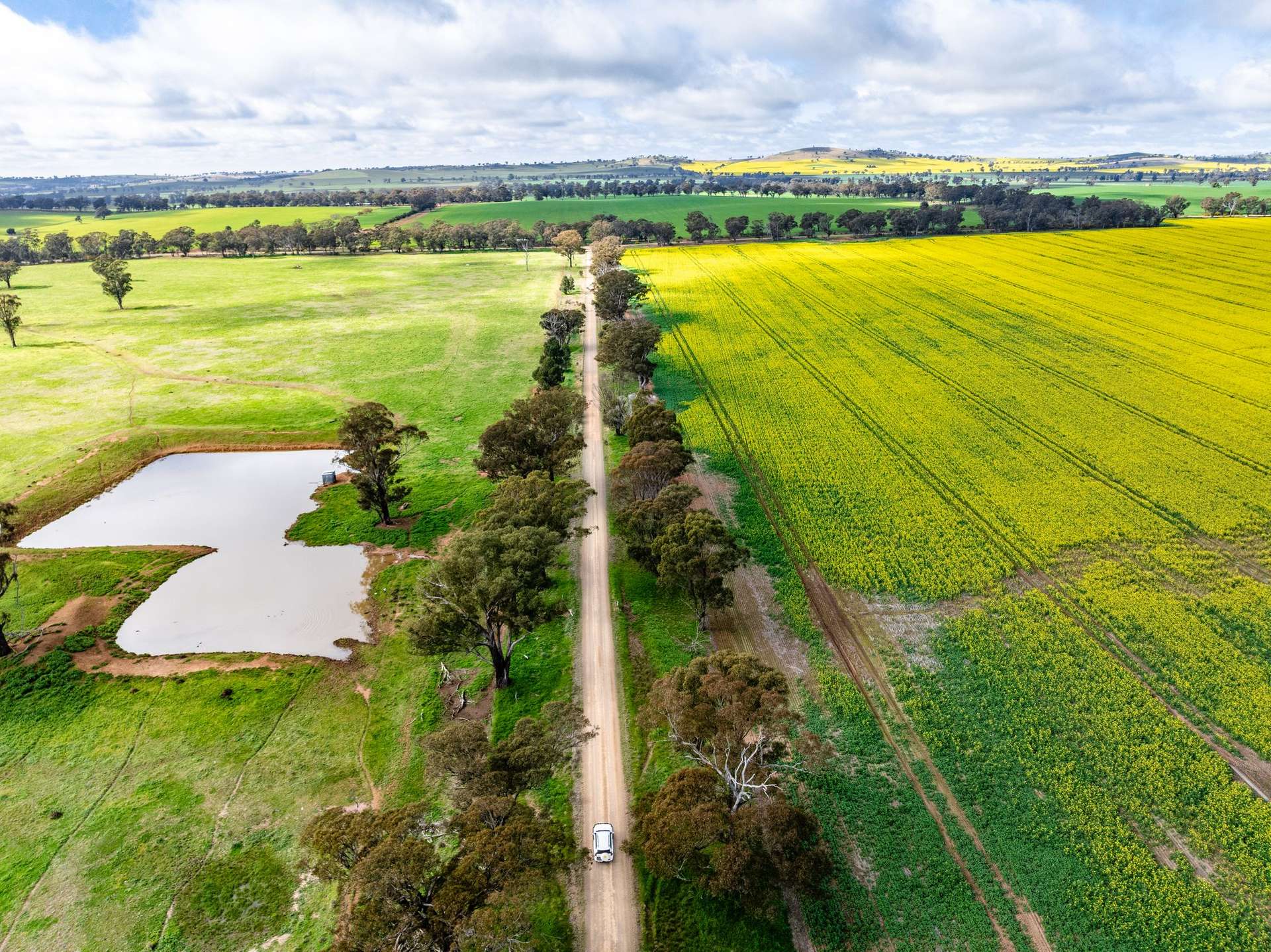 "West Ardnaree" Cnr Newell & Kurrawbya Roads, Tubbul Auction by Farmbuy.com - image 22